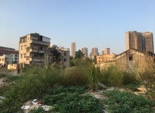 云南房地產市場動態與區域發展聚焦